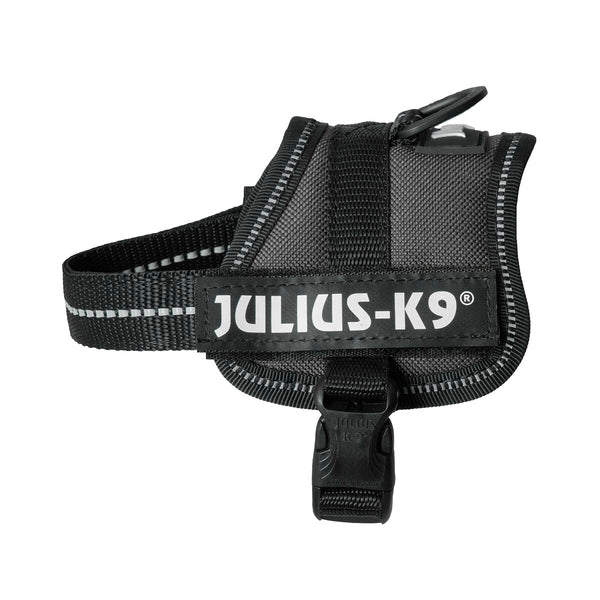 Hundegeschirr Julius K9 Power Schwarz 1 Baby 1 (XS)