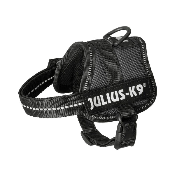 Hundegeschirr Julius K9 Power Schwarz 1 Baby 1 (XS)