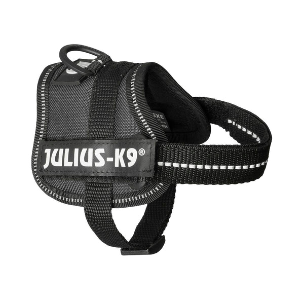 Hundegeschirr Julius K9 Power Schwarz 1 Baby 1 (XS)