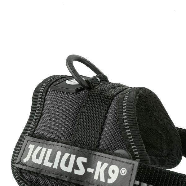 Hundegeschirr Julius K9 Power Schwarz 1 Baby 1 (XS)