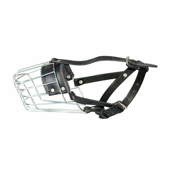 Maulkorb Julius K9 Caniche