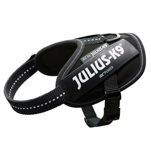 Hundegeschirr Julius K9 IDC Schwarz 2 Baby 2 (XS/S)