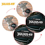 Hundegeschirr Julius K9 IDC Schwarz M