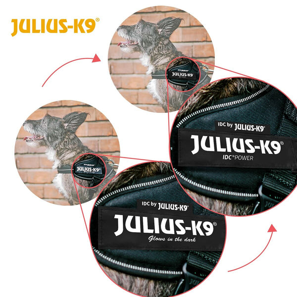Hundegeschirr Julius K9 IDC Schwarz M