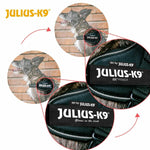 Hundegeschirr Julius K9 IDC Rot