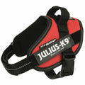 Hundegeschirr Julius K9 IDC Rot