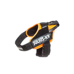Hundegeschirr Julius K9 IDC Orange L/XL 2 71-96 cm