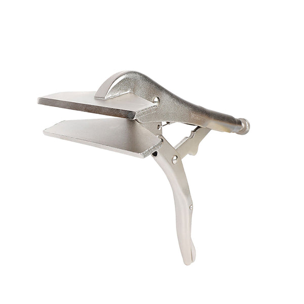 Klemmzangen Workpro Resistent Einstellbar 25 cm 250 mm