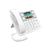Festnetztelefon Fanvil X305