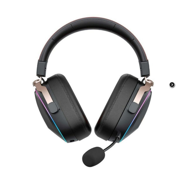 Gaming Headset mit Mikrofon Havit H2039BG