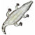 Aufblasbare Figur für Pool Intex Siva _227926 Krokodil
