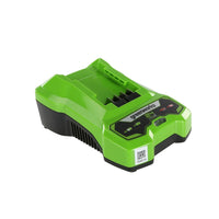 Wiederaufladbare Lithiumbatterie Greenworks 2932407 220-240 V