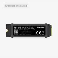 Festplatte Hiksemi FUTURE 1 TB SSD