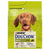 Futter Purina Dog Chow Erwachsener Lamm 2,5 kg