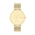 Herrenuhr Calvin Klein 25200403 Gold