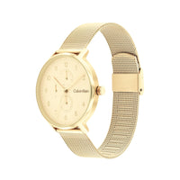 Herrenuhr Calvin Klein 25200403 Gold