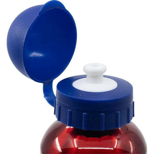 Wasserflasche The Avengers CZ11259 Rot 530 ml Aluminium