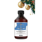 Tiefenreinigendes Shampoo Davines Regulador 1 L