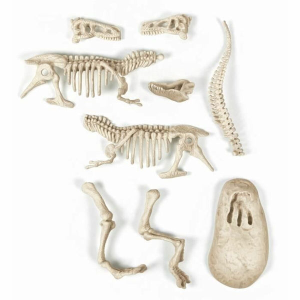 Ausgrabungsspiel Clementoni T-Rex fosforescente