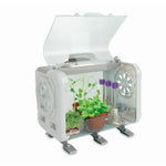 Terrarium Clementoni