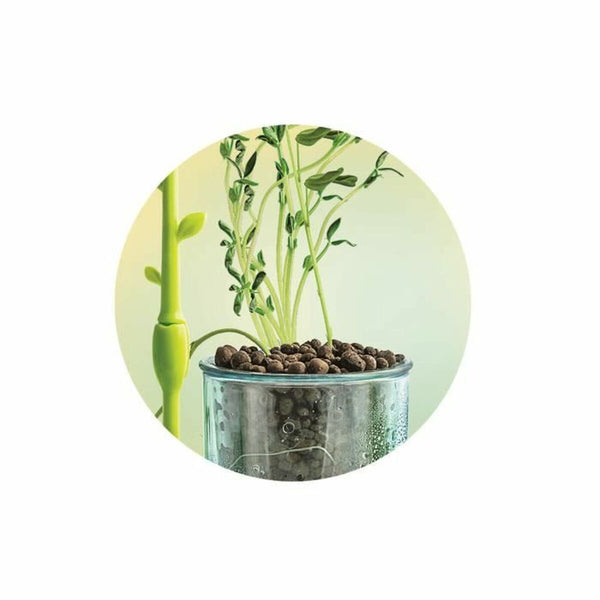 Wissenschaftsspiel Clementoni CLEMENTONI