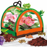 Wissenschaftsspiel Lisciani Giochi