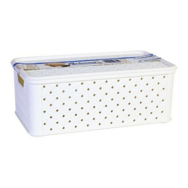 Aufbewahrungsbox mit Deckel Tontarelli 4 L 29'5 x 16'5 x 11 cm
