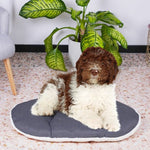 Hundebett Ferplast