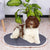 Hundebett Ferplast