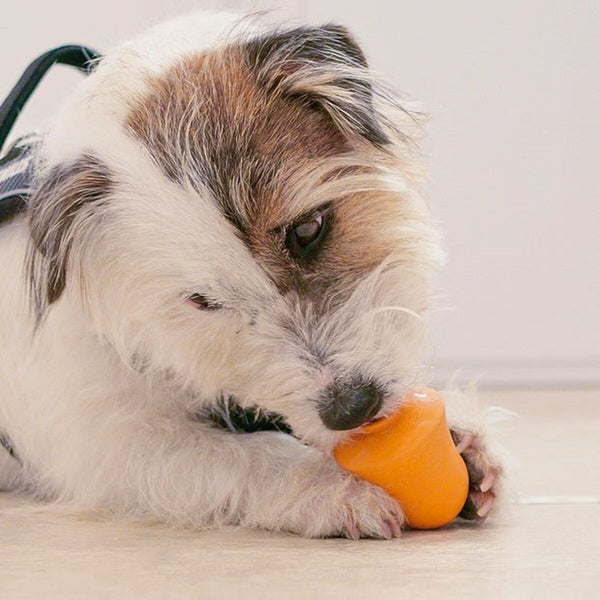 Beißring für Hunde Ferplast Weiß Orange Kautschuk tiere