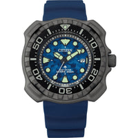 Herrenuhr Citizen BN0227-09L