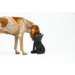 Futternapf für Hunde United Pets Up Elisabeth Schwarz Edelstahl Polyäthylen 1 L