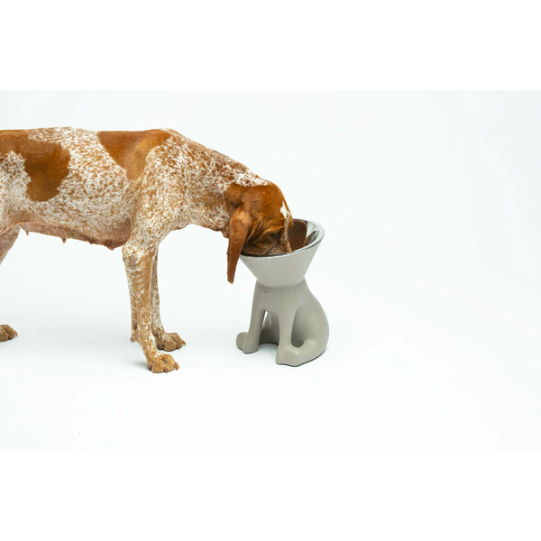 Futternapf für Hunde United Pets Up Elisabeth Grau Edelstahl Polyäthylen 1 L