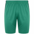 Herren-Sportshorts Kappa DELEBIO grün
