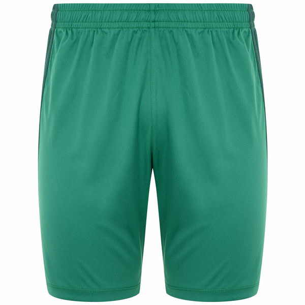 Herren-Sportshorts Kappa DELEBIO grün