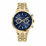 Herrenuhr Trussardi R2453147002 (Ø 43 mm)