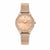 Damenuhr Trussardi R2453152505 (Ø 34 mm)