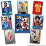 Stickeralbum Panini