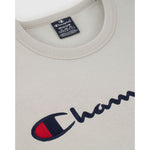 Herren Sweater ohne Kapuze Champion CREWNECK SWEATSHIRT 220254 SVL Grau