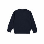 Herren Sweater ohne Kapuze Champion Blau