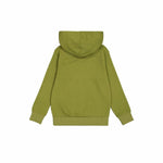 Herren Sweater mit Kapuze Champion grün