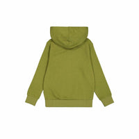 Herren Sweater mit Kapuze Champion grün