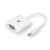 USB-C-zu-VGA-Adapter Ewent EC1050