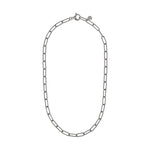 Unisex-Halsband Albert M. WSOX00480.S-50