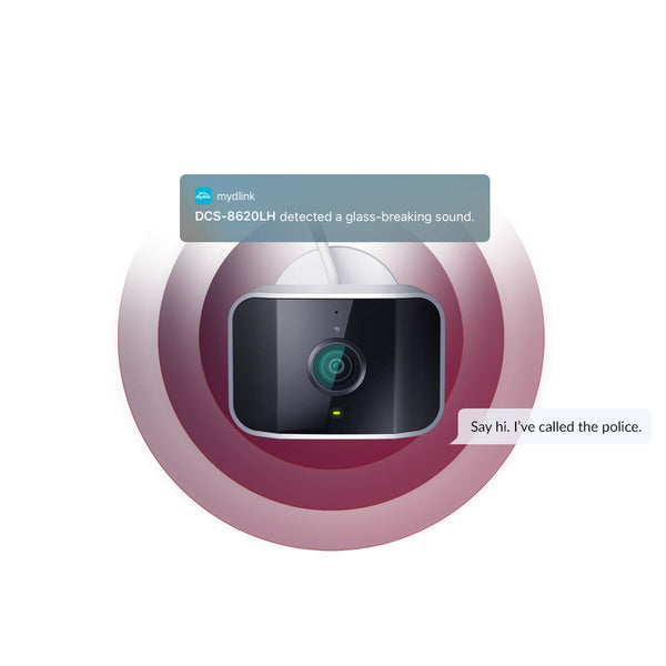 Videoüberwachungskamera D-Link DCS-8620LH