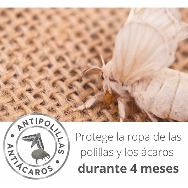 Mottenfest Orion Lavendel