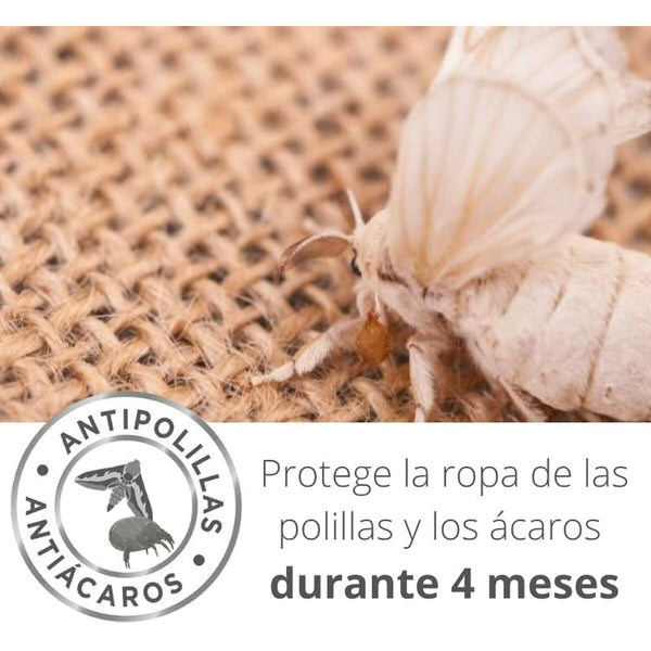 Mottenfest Orion Lavendel