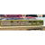 Kindergitarre Fisher-Price Bluey