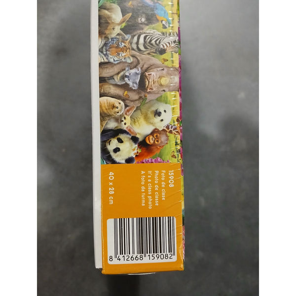 Puzzle Educa EB15908 300 Stücke