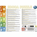 Puzzle Educa Osito Pardo